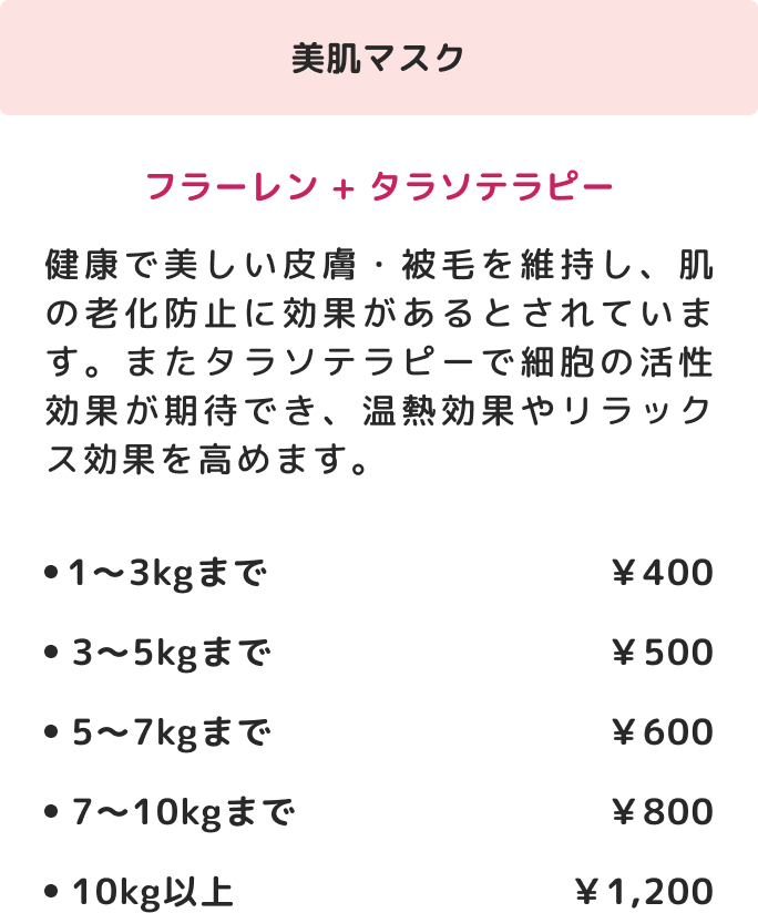 option01