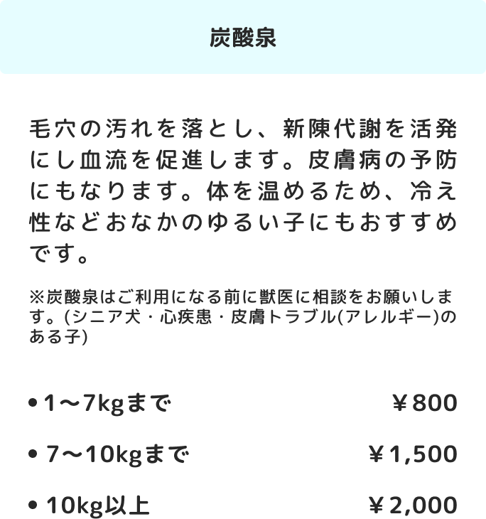 option02