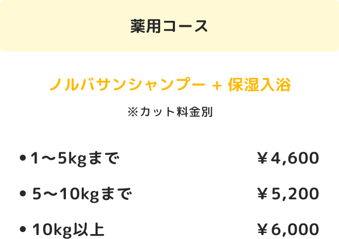 option03